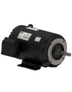 Pump Motor