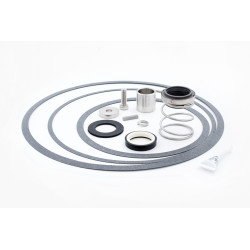 SEAL KIT BG15101.25PS978