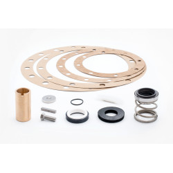 SEAL KIT PEERLESS1.25PS2122C-CMS