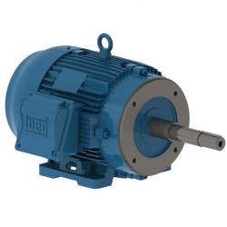 5HP WEG 00518ET3E184JP