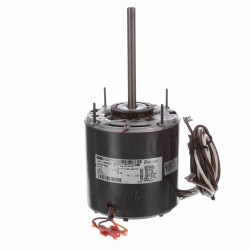 1/3 HP - FASC0 - D2817