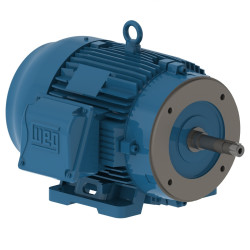 5 HP WEG 00536ET3E184JM-W22 MOTOR