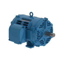 25 HP - WEG - 02518OT3E284T--W40G