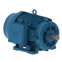 30 HP - WEG - 03018ET3E286T (U30P2D)
